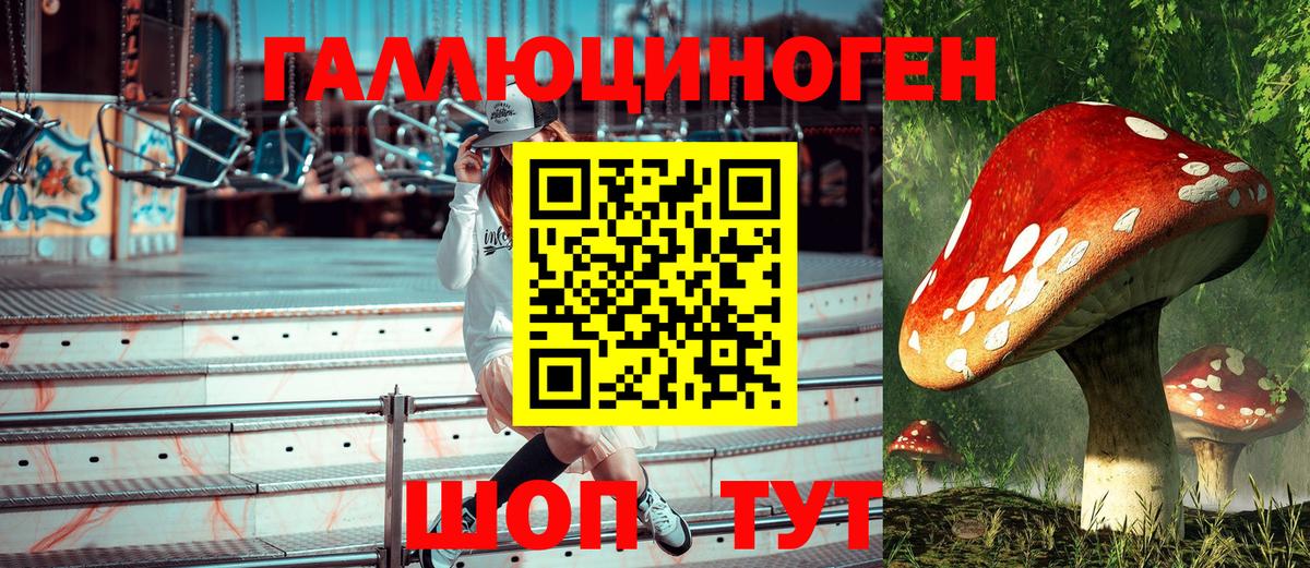 Евпатория  Псилоцибиновые грибы Magic Shrooms  купить наркотик  Псилоцибиновые грибы Cubensis  Вход с VPN 