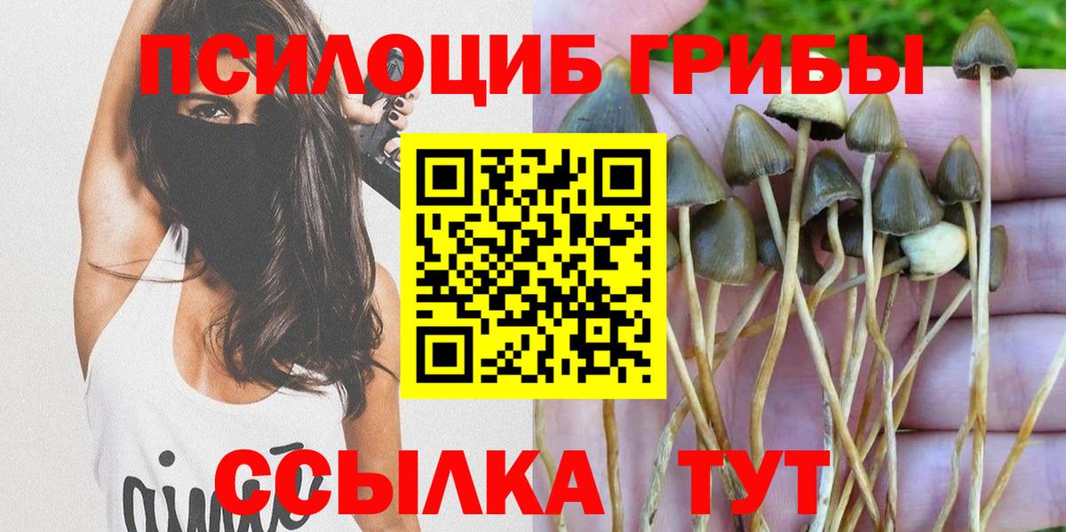 Галлюциногенные грибы Magic Shrooms Евпатория